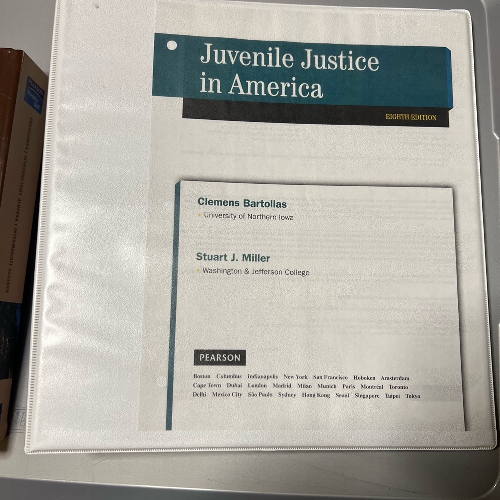 Juvenile Justice in America Textbook